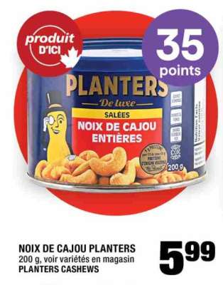noix de cajou Planters
