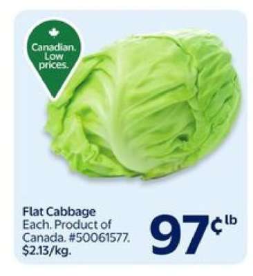 Flat Cabbage