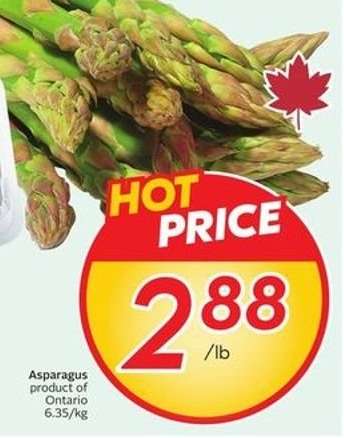 ASPARAGUS