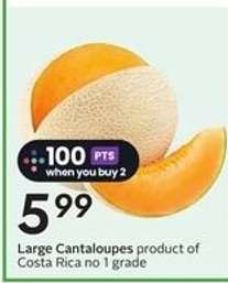 Large Cantaloupes