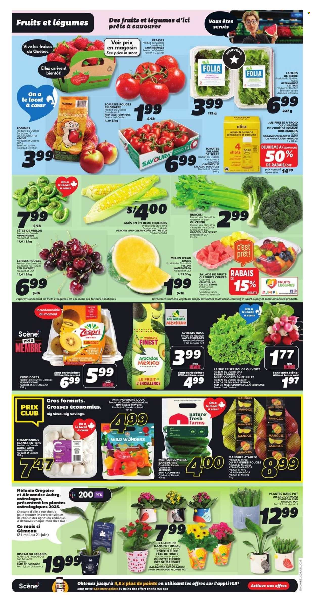IGA flyer - May 29, 2025 - June 04, 2025. Page 3