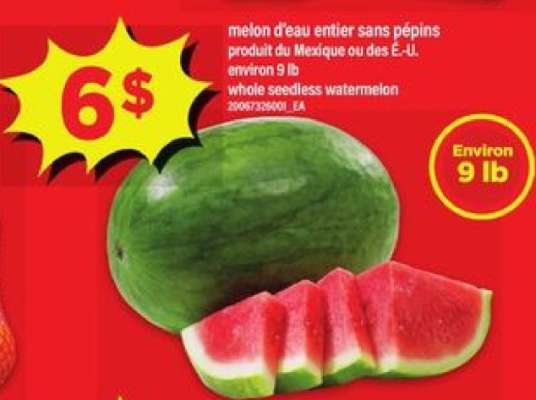 MELON D'EAU ENTIER SANS PÉPINS