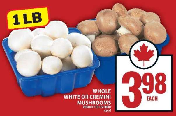 WHOLE WHITE OR CREMINI MUSHROOMS