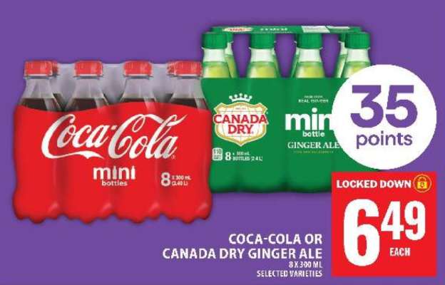Coca-Cola or Canada Dry Ginger Ale