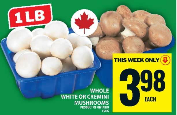 WHOLE WHITE OR CREMINI MUSHROOMS