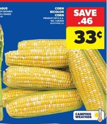 Corn Bicolor