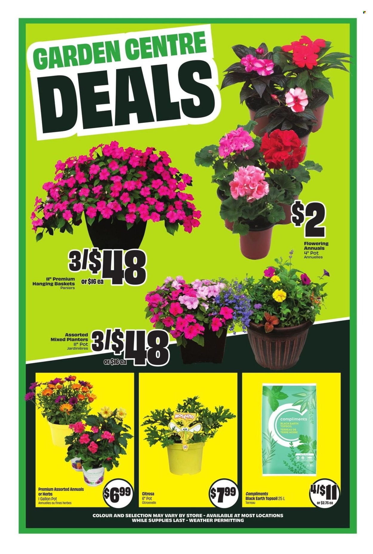 Chalo! FreshCo. flyer - May 29, 2025 - June 04, 2025. Page 5