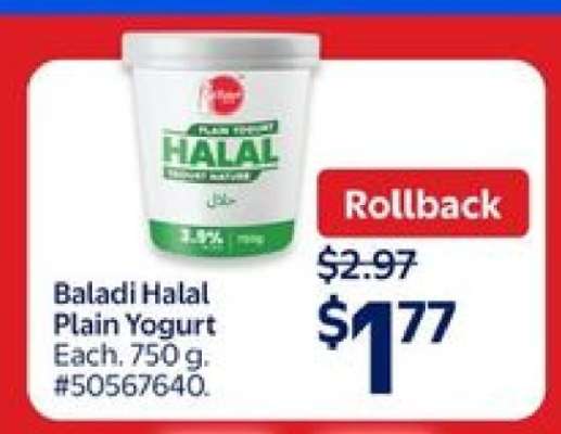 Baladi Halal Plain Yogurt