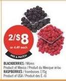 BLACKBERRIES / RASPBERRIES