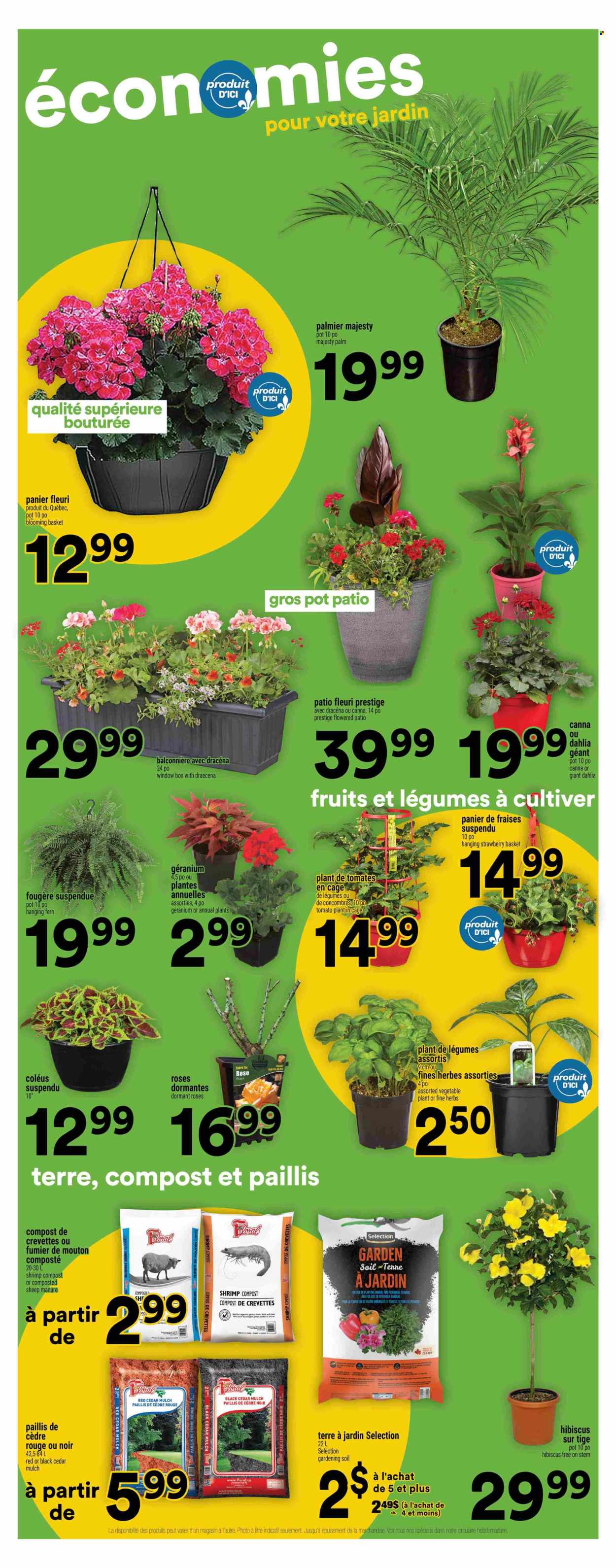 Super C flyer - June 05, 2025 - June 11, 2025. Page 14