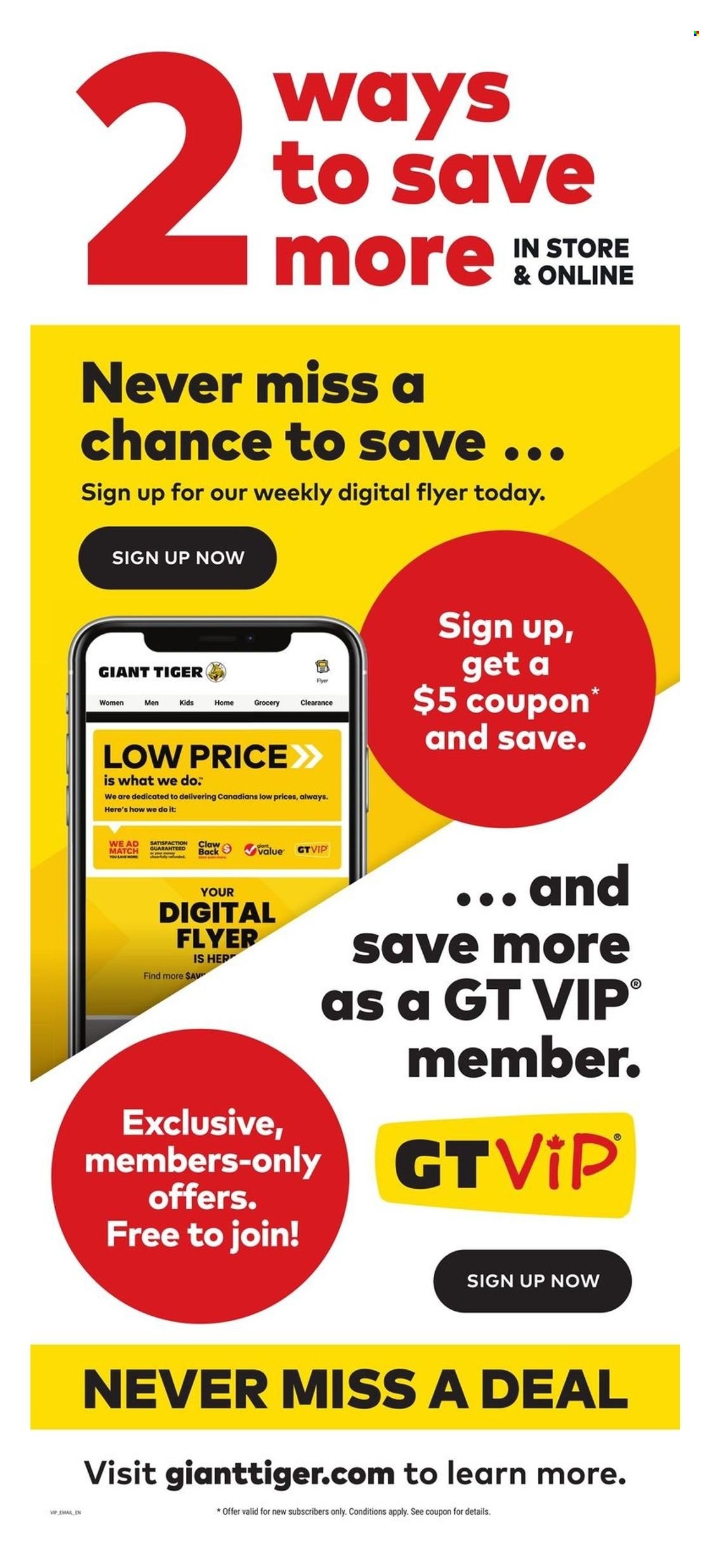 Giant Tiger flyer - June 04, 2025 - June 10, 2025. Page 15