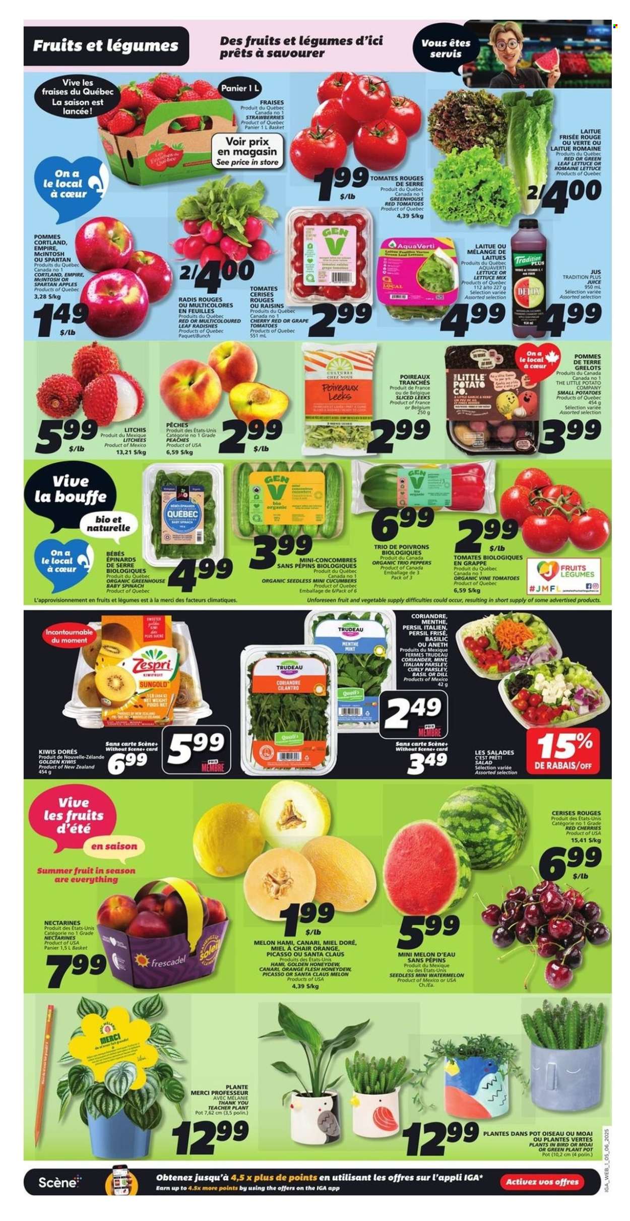 IGA flyer - June 05, 2025 - June 11, 2025. Page 3