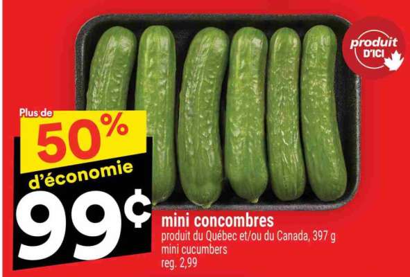 mini concombres