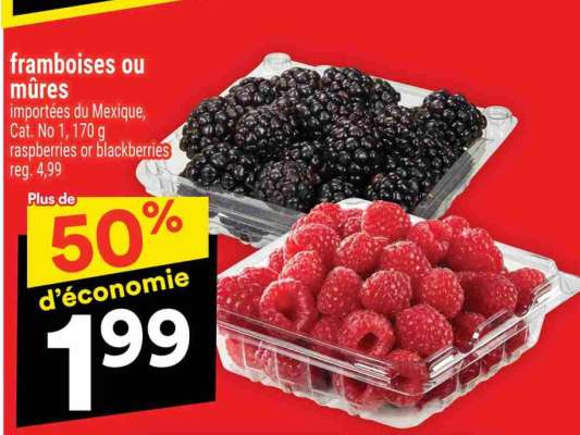 FRAMBOISES OU MÛRES