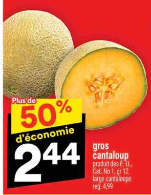 Gros Cantaloup