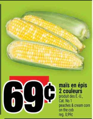 Maïs en épis 2 couleurs