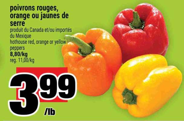 POIVRONS ROUGES, ORANGE OU JAUNES DE SERRE