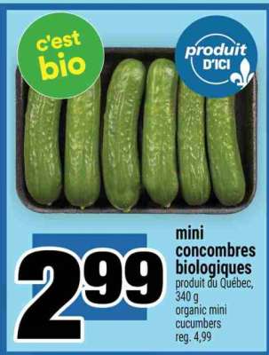 mini concombres biologiques