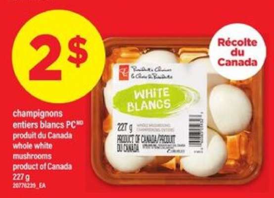 champignons entiers blancs PC