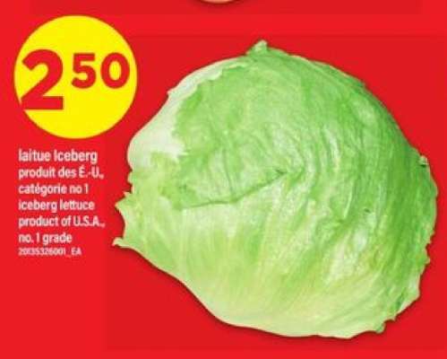 laitue Iceberg