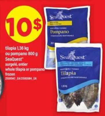 SeaQuest Tilapia or Pompano