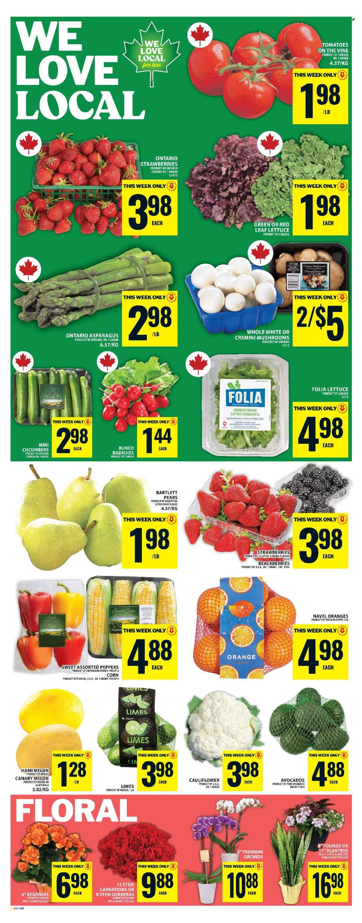 Food Basics flyer - June 05, 2025 - June 11, 2025. Page 11