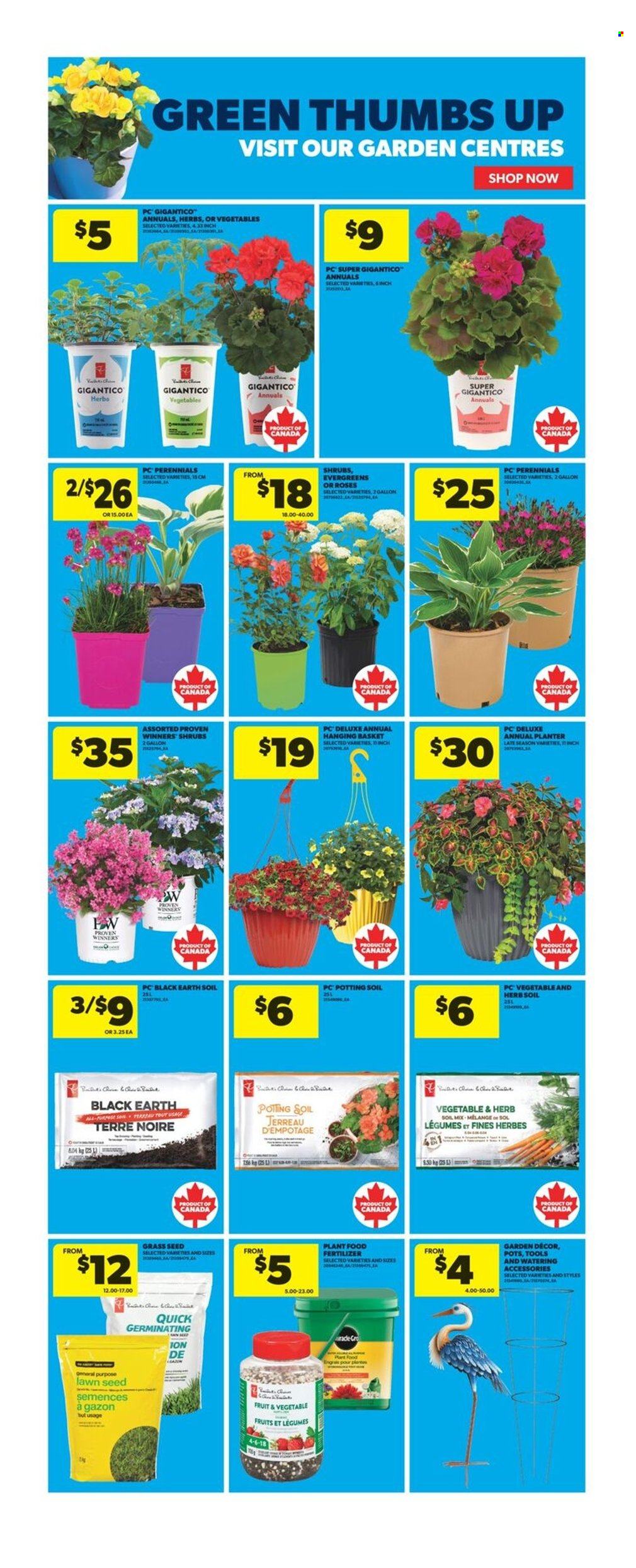 Real Canadian Superstore flyer - June 05, 2025 - June 11, 2025. Page 9