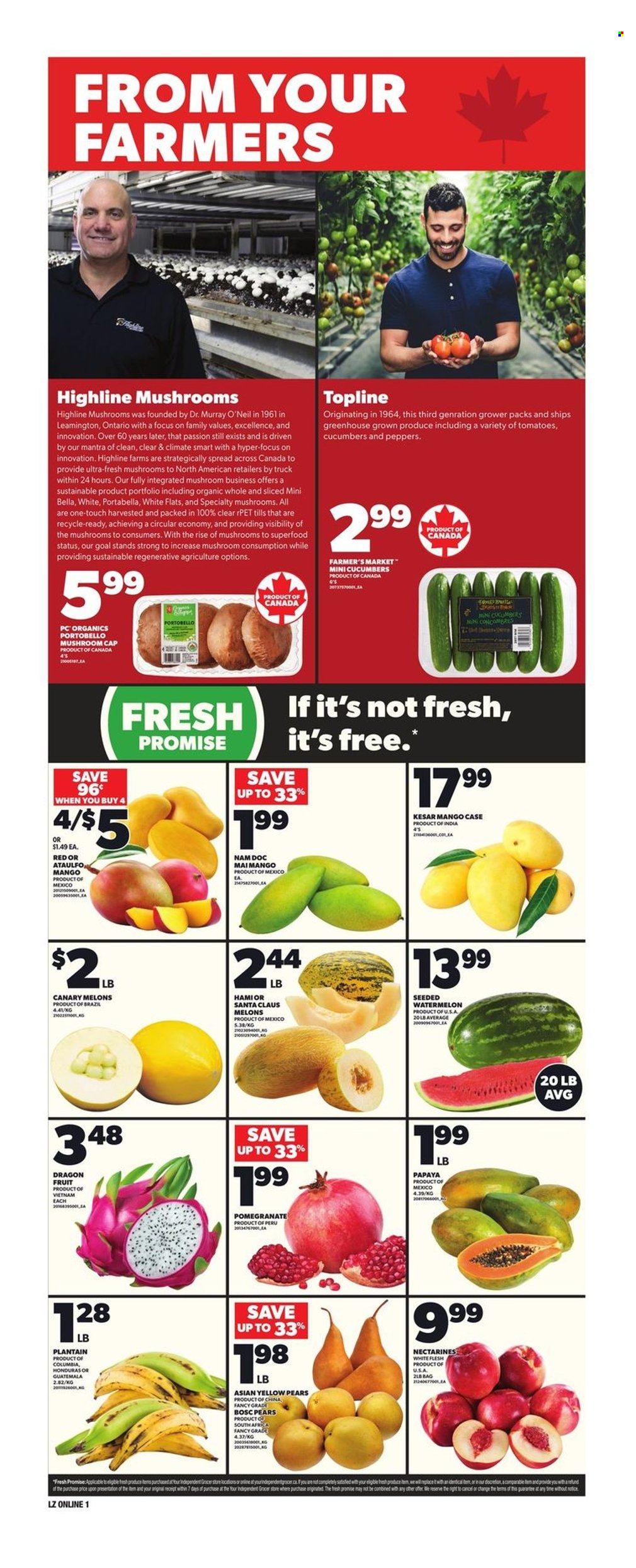 Loblaws flyer - June 05, 2025 - June 11, 2025. Page 7