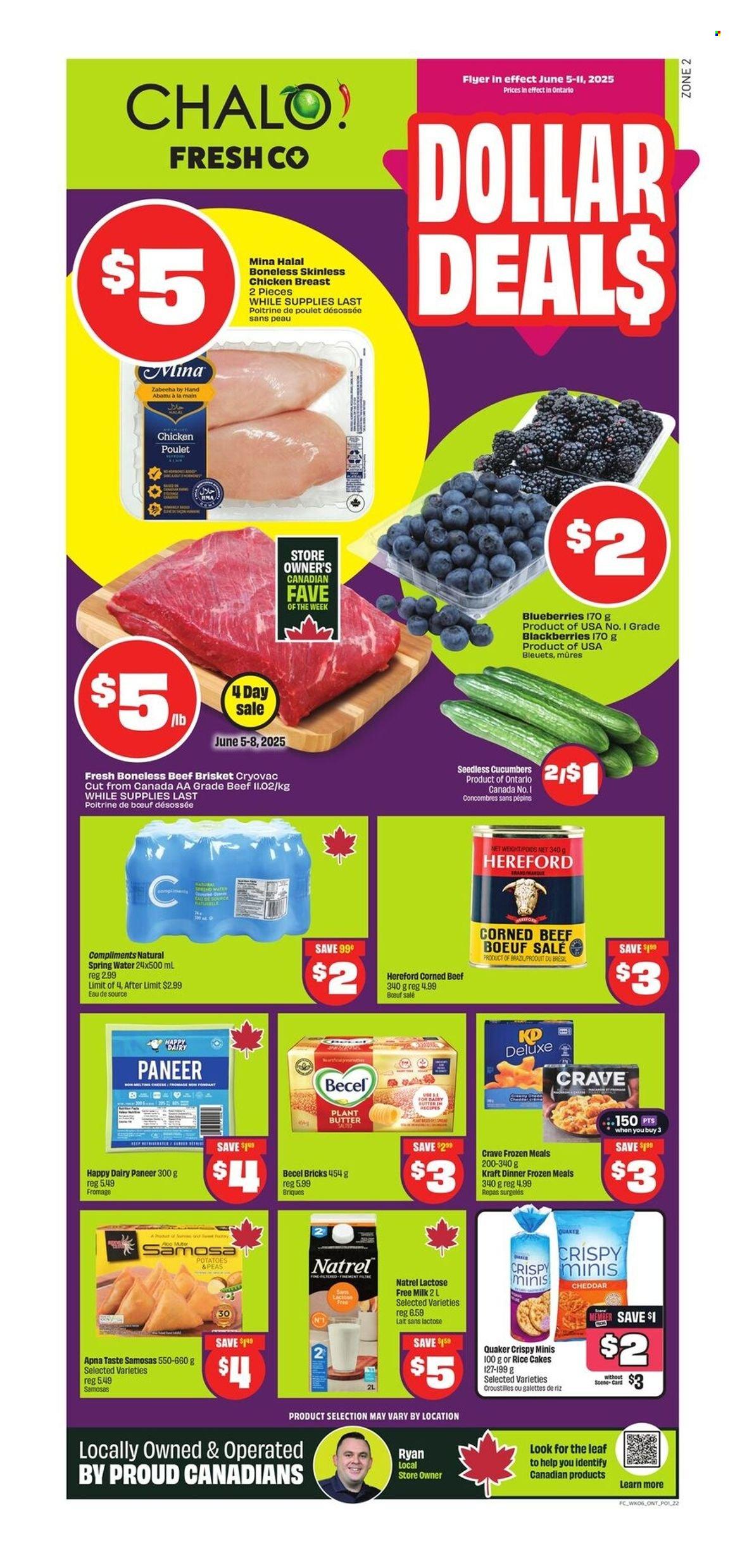 Chalo! FreshCo. flyer - June 05, 2025 - June 11, 2025. Page 1