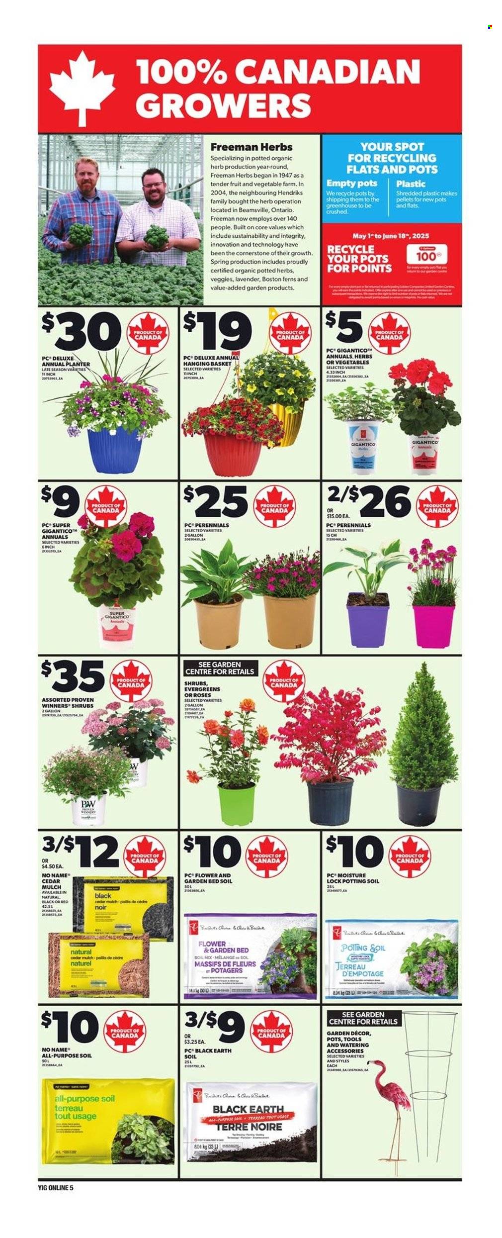 Independent flyer - June 05, 2025 - June 11, 2025. Page 14
