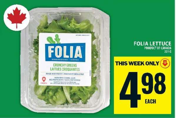 Folia Lettuce