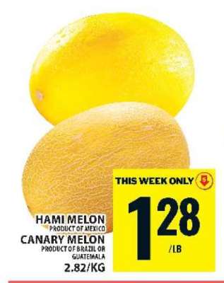 Hami Melon / Canary Melon