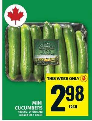 MINI CUCUMBERS