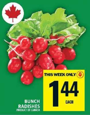 BUNCH RADISHES