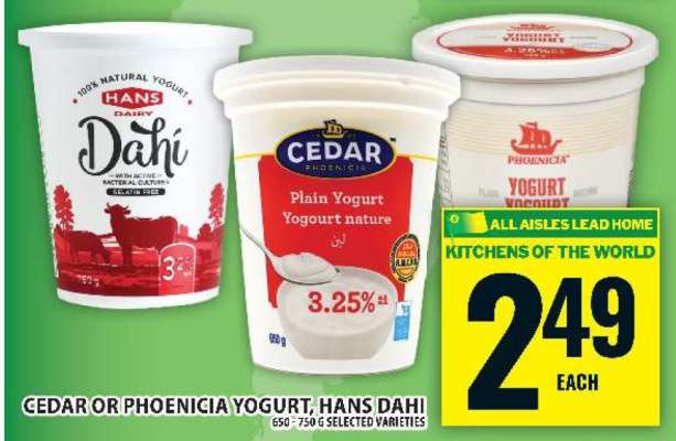Cedar or Phoenicia Yogurt, Hans Dahi