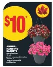 ANNUAL HANGING BASKETS