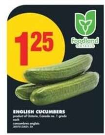 ENGLISH CUCUMBERS