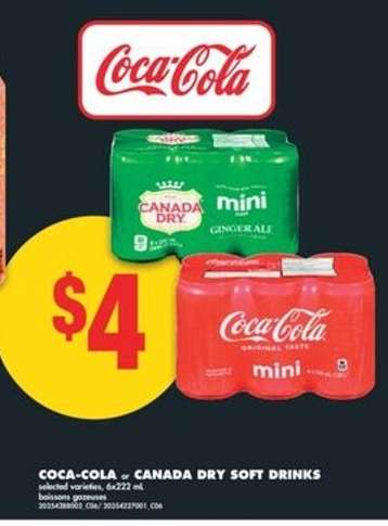 COCA-COLA or CANADA DRY SOFT DRINKS