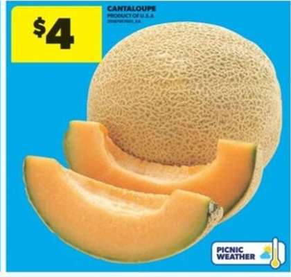CANTALOUPE