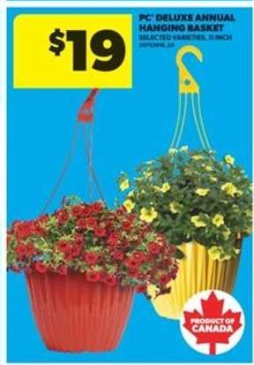PC Deluxe Annual Hanging Basket