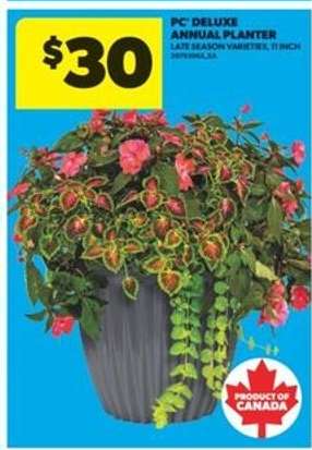 PC Deluxe Annual Planter
