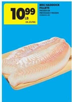 MSC Haddock Fillets