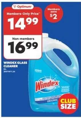 Windex Glass Cleaner