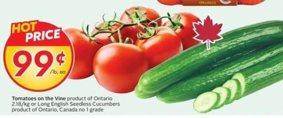 TOMATOES ON THE VINE