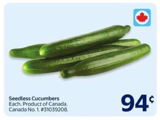 SEEDLESS CUCUMBERS