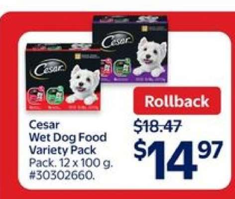 Cesar Wet Dog Food Variety Pack