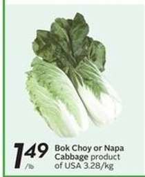 Bok Choy or Napa Cabbage