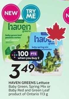 HAVEN GREENS Lettuce