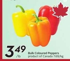 Bulk Coloured Peppers
