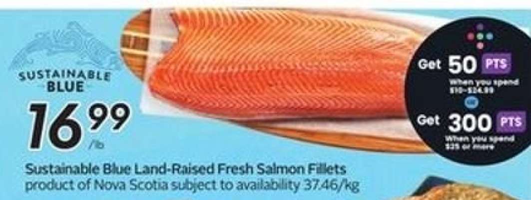 Sustainable Blue Land-Raised Fresh Salmon Fillets